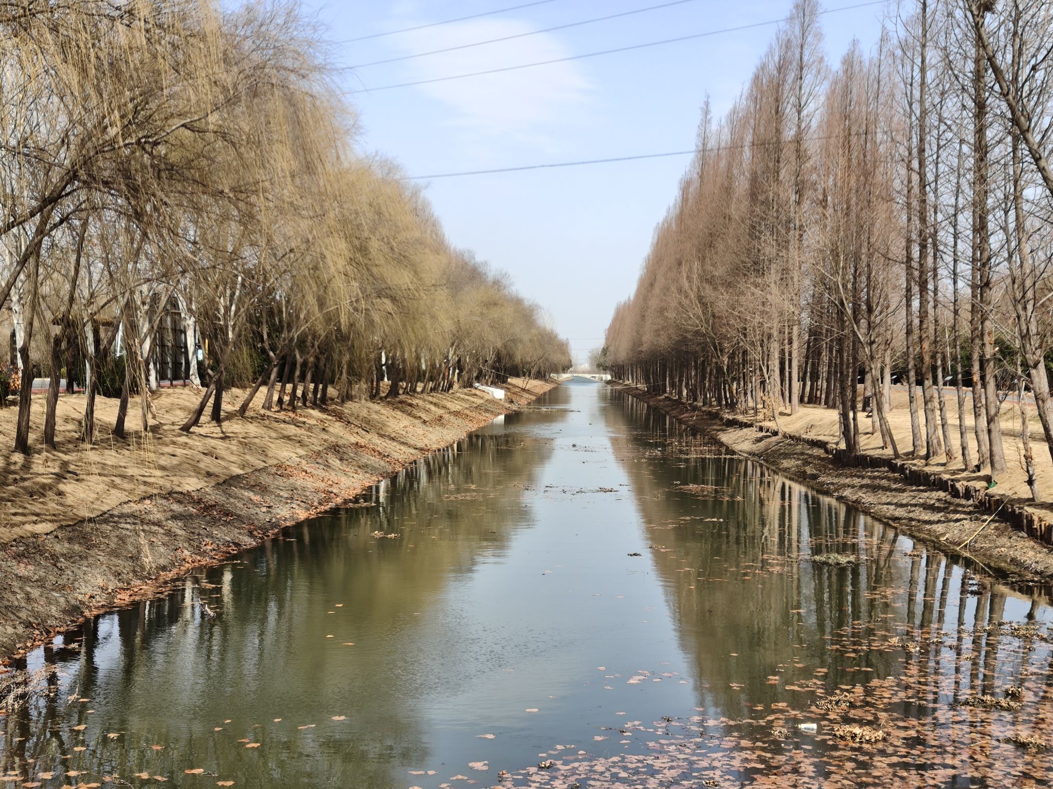 湖北孝感朱湖国家湿地公园