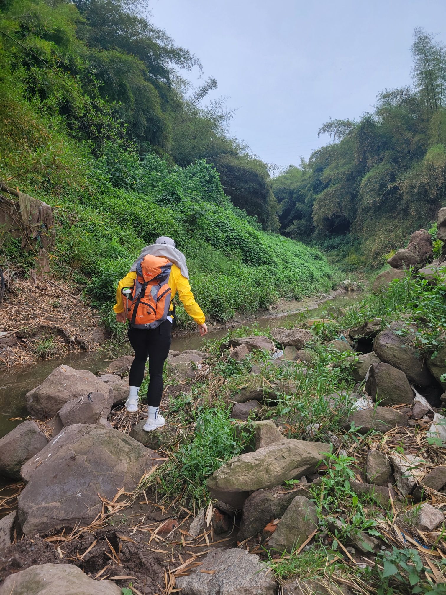 泸州东岩公园旅行图片 2
