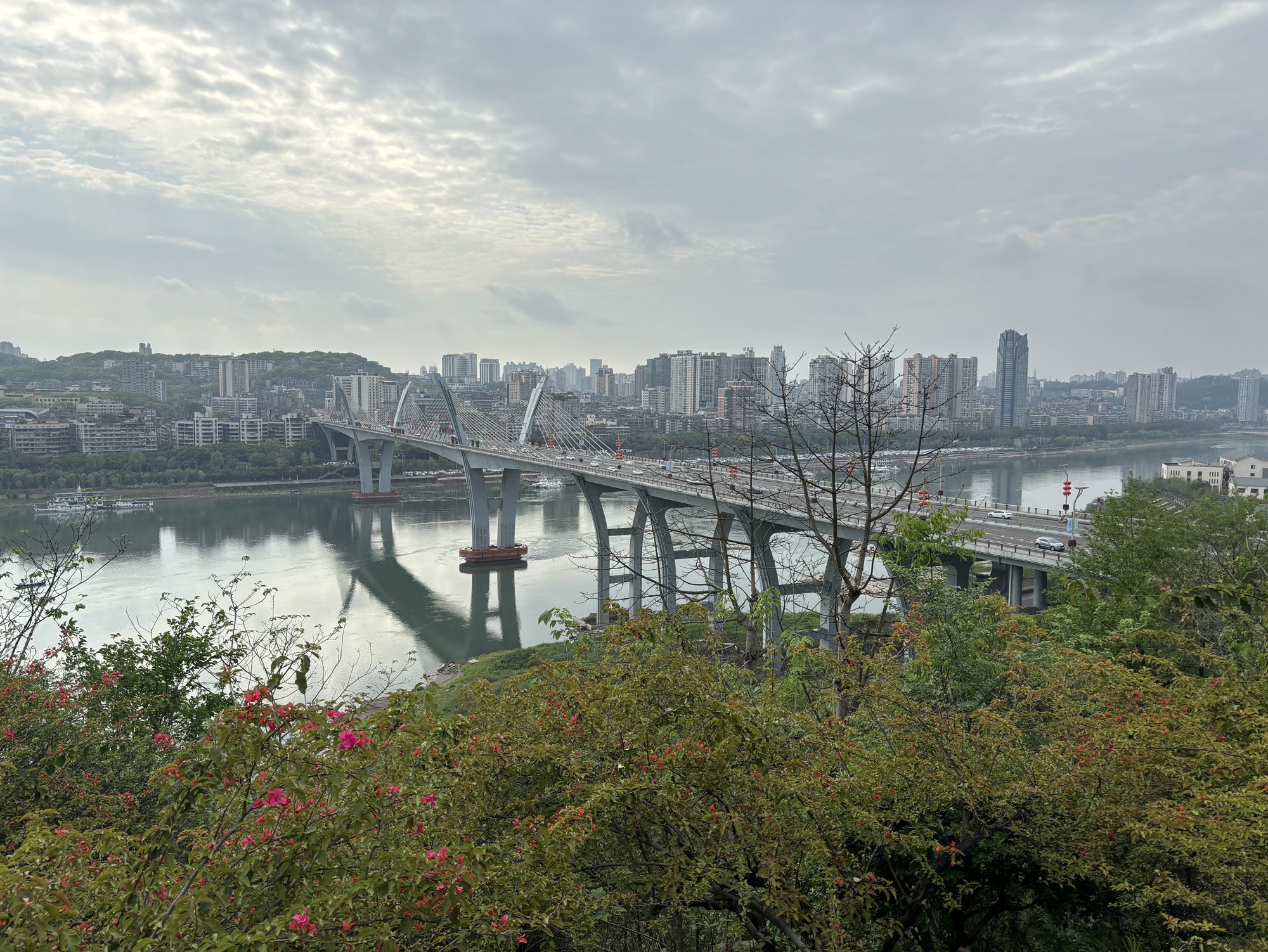 泸州东岩公园旅行图片 3