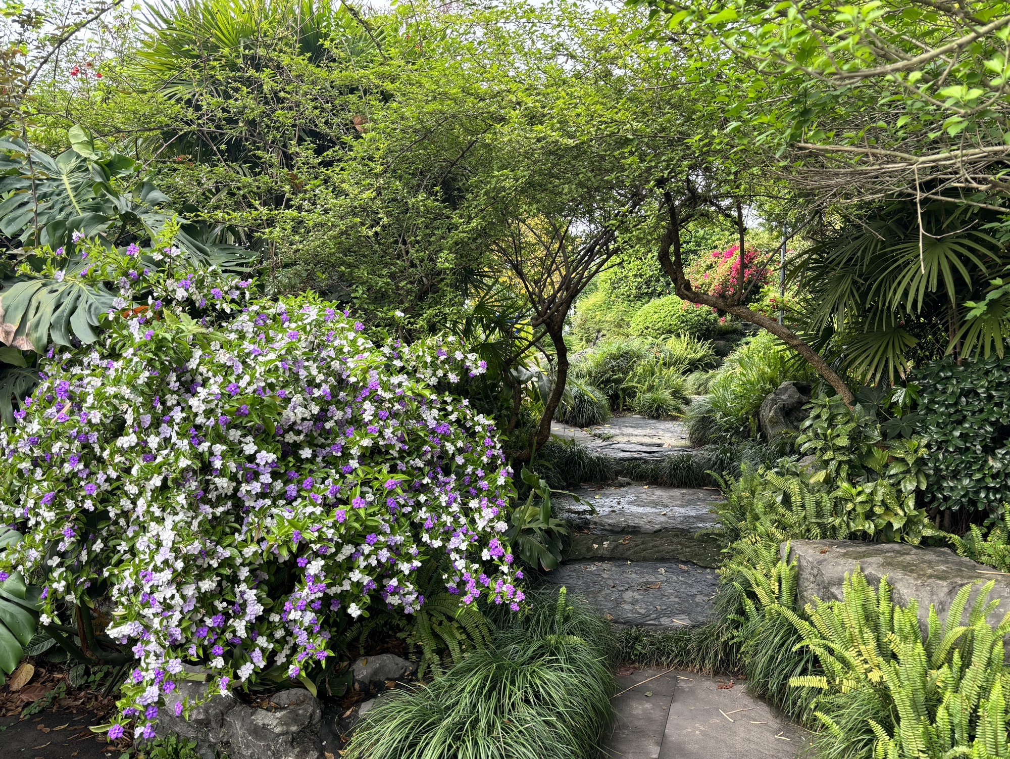 泸州东岩公园旅行图片 2