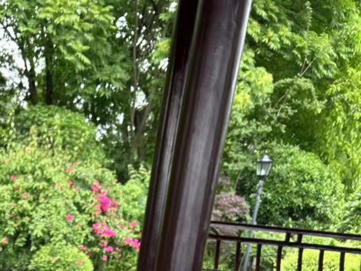 泸州东岩公园旅行图片 2