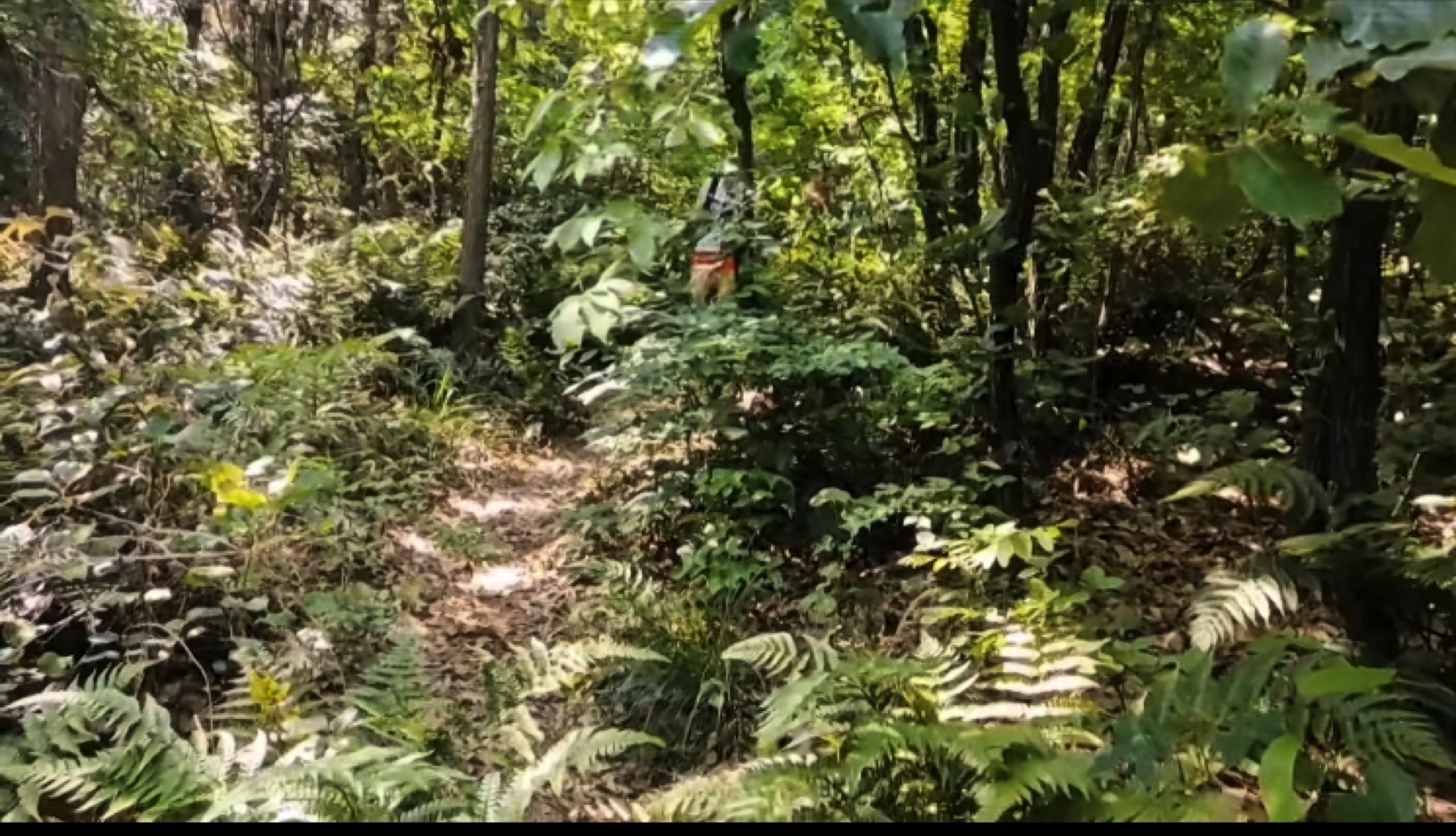 吴都阖闾城遗址旅行图片 1