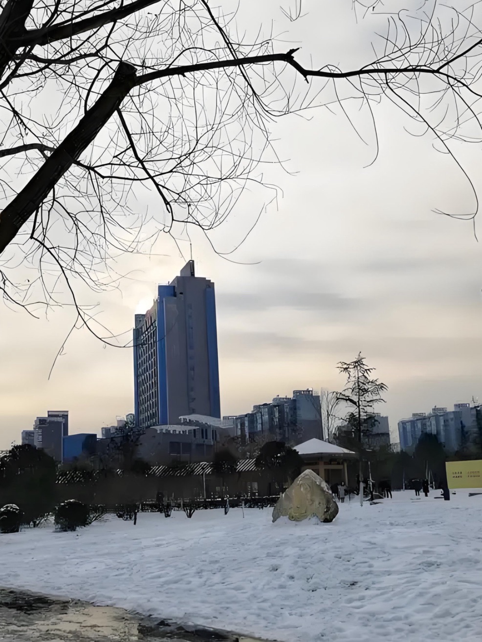卢园广场旅行图片 2