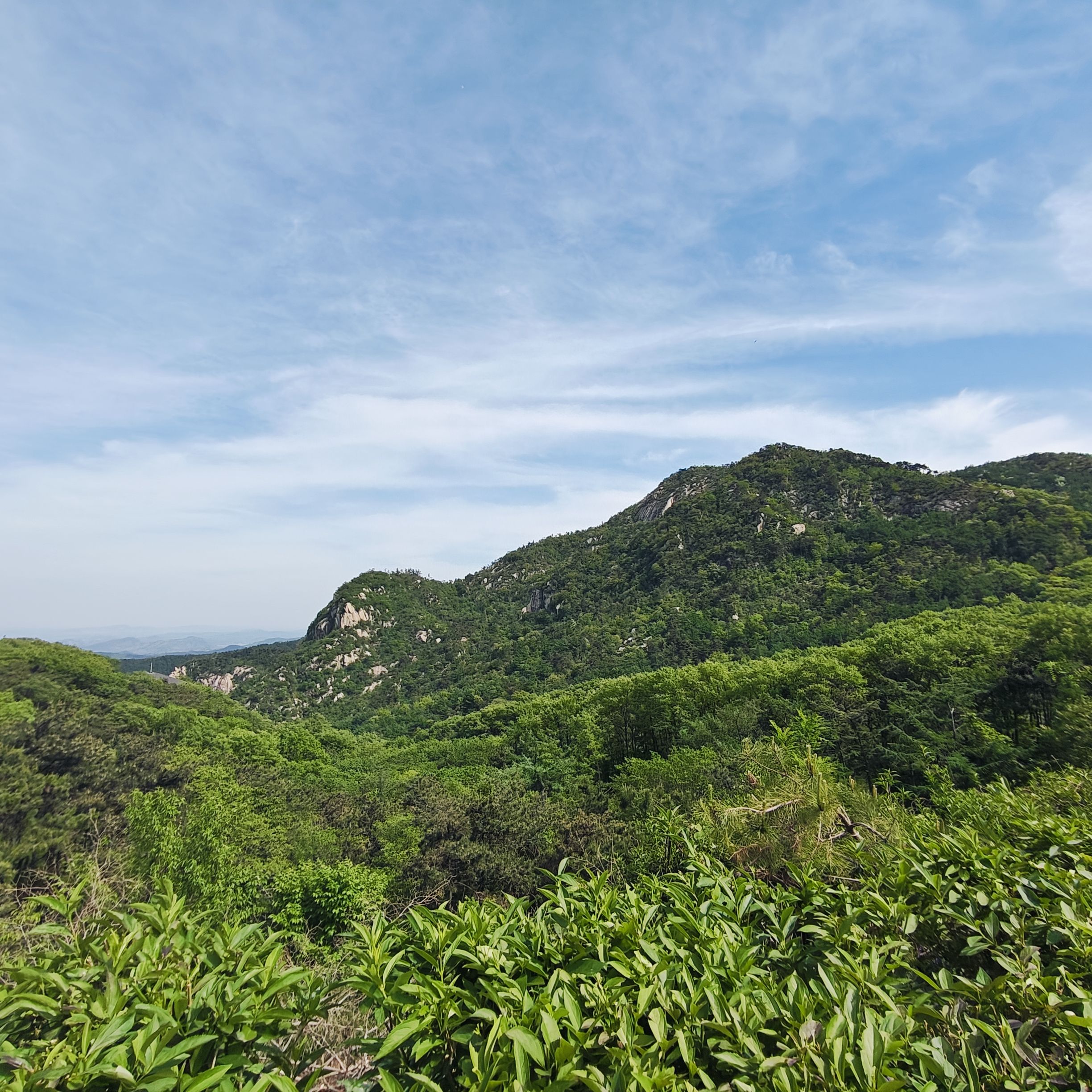 沂蒙山旅游区旅行图片 3