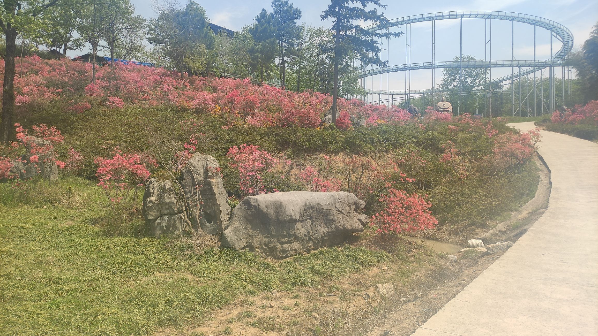 铜陵梧桐花谷景区旅行图片 3