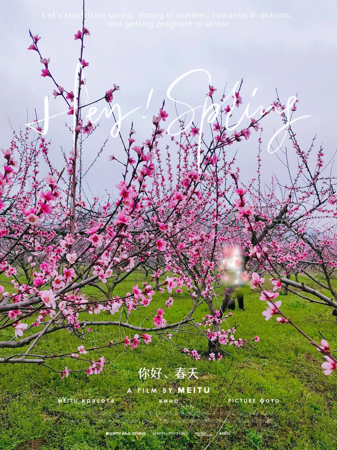 铜陵梧桐花谷景区旅行图片 1