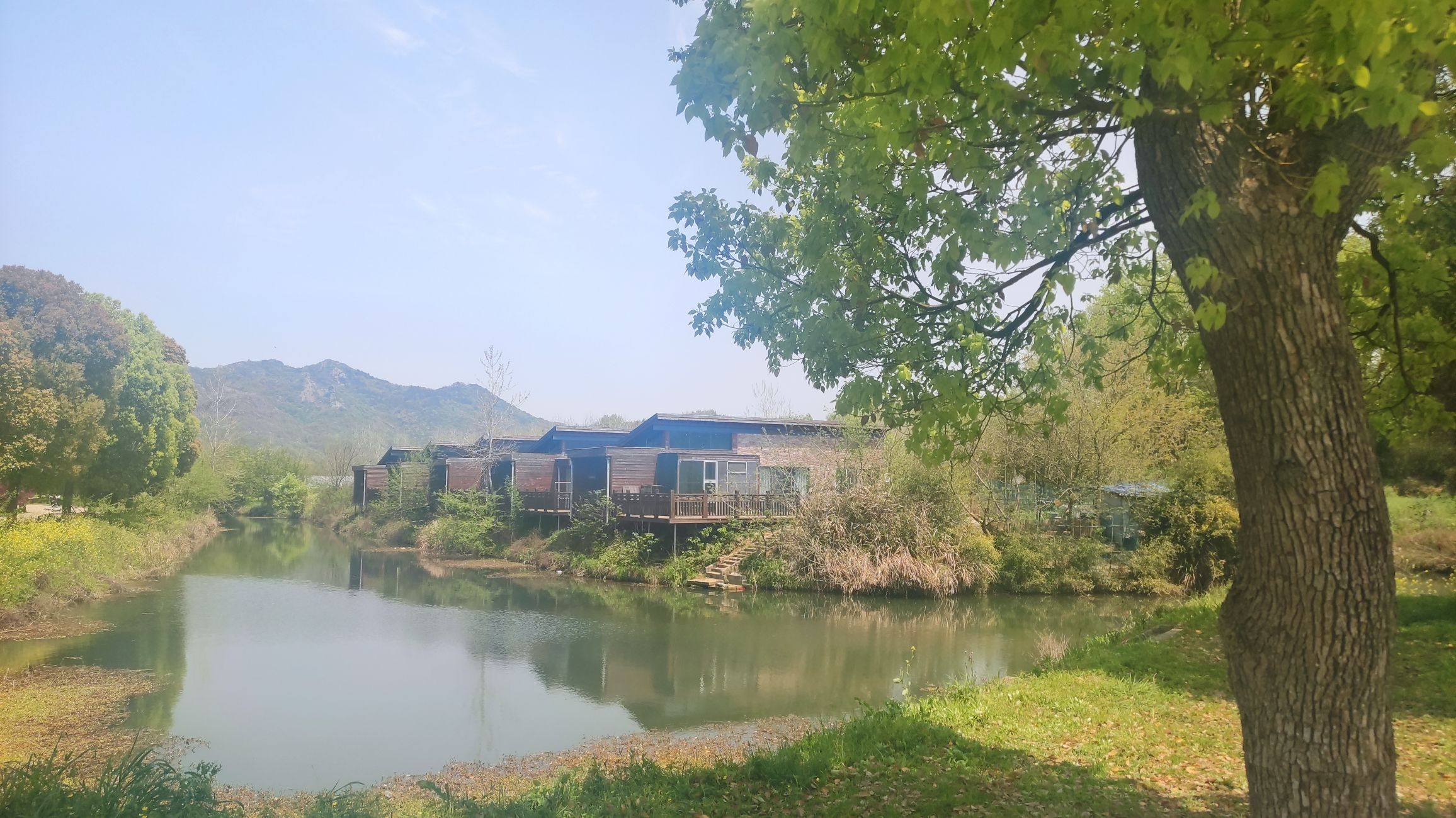 铜陵梧桐花谷景区旅行图片 1