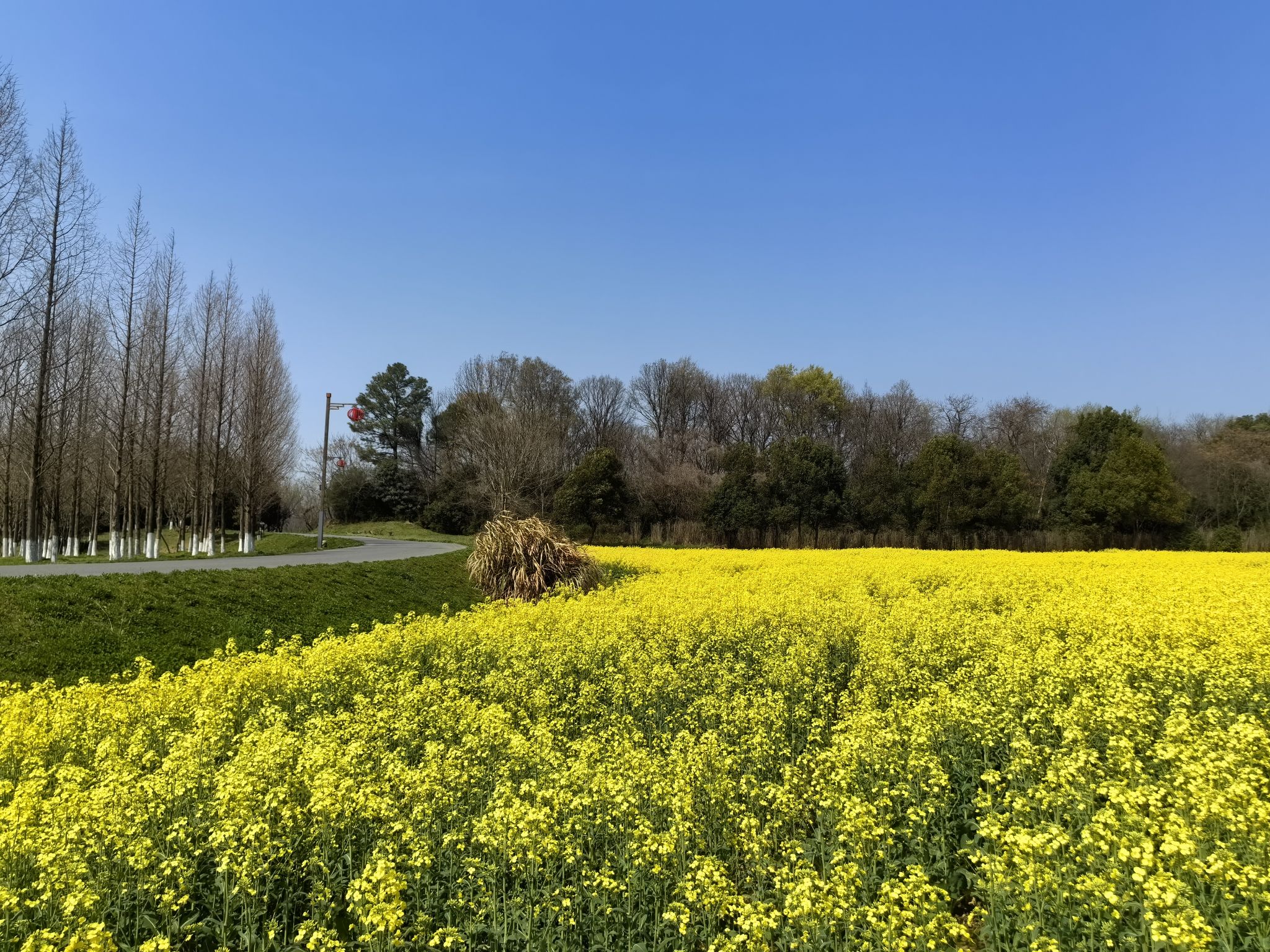杏花村文化旅游区旅行图片 3