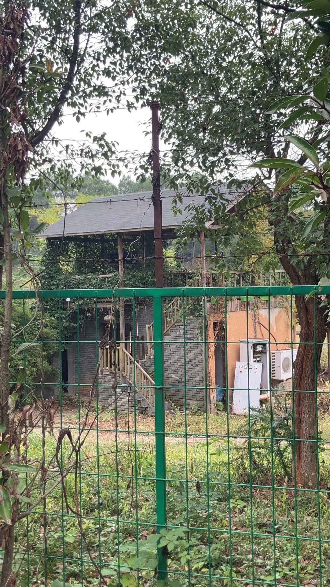 杏花村文化旅游区旅行图片 3