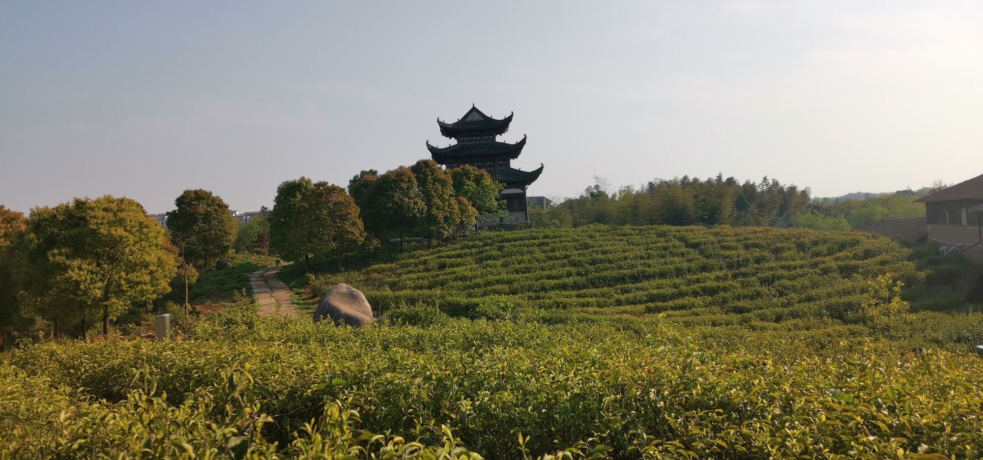 杏花村文化旅游区旅行图片 3