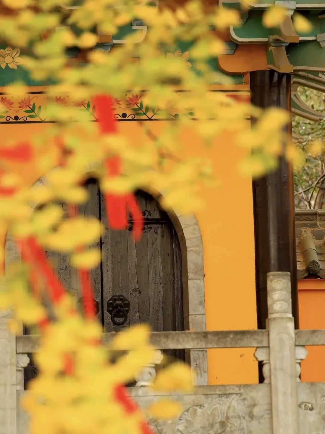 杏花村文化旅游区旅行图片 3