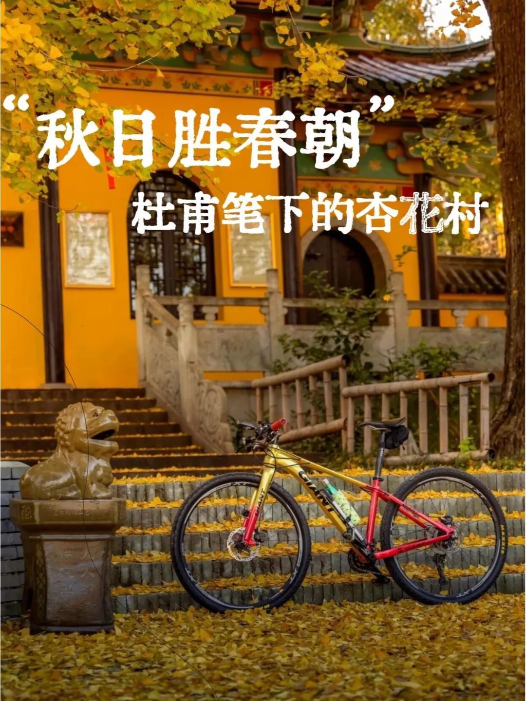 杏花村文化旅游区旅行图片 1
