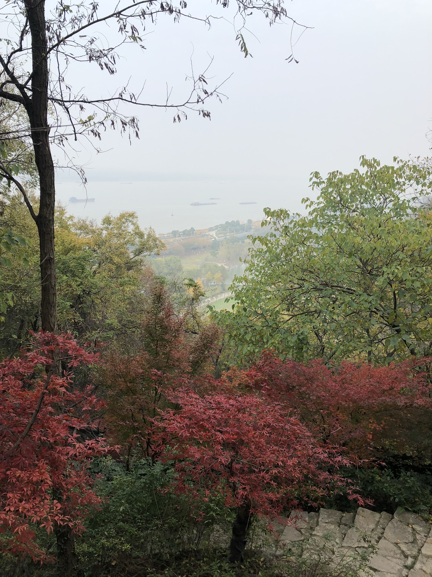 幕燕滨江·达摩古洞景区旅行图片 3