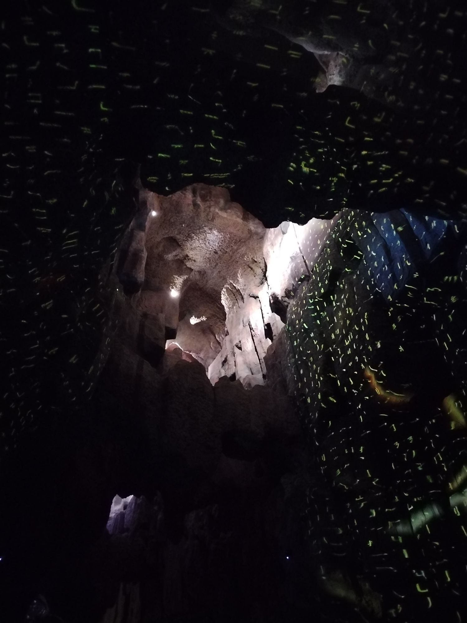 幕燕滨江·达摩古洞景区旅行图片 3