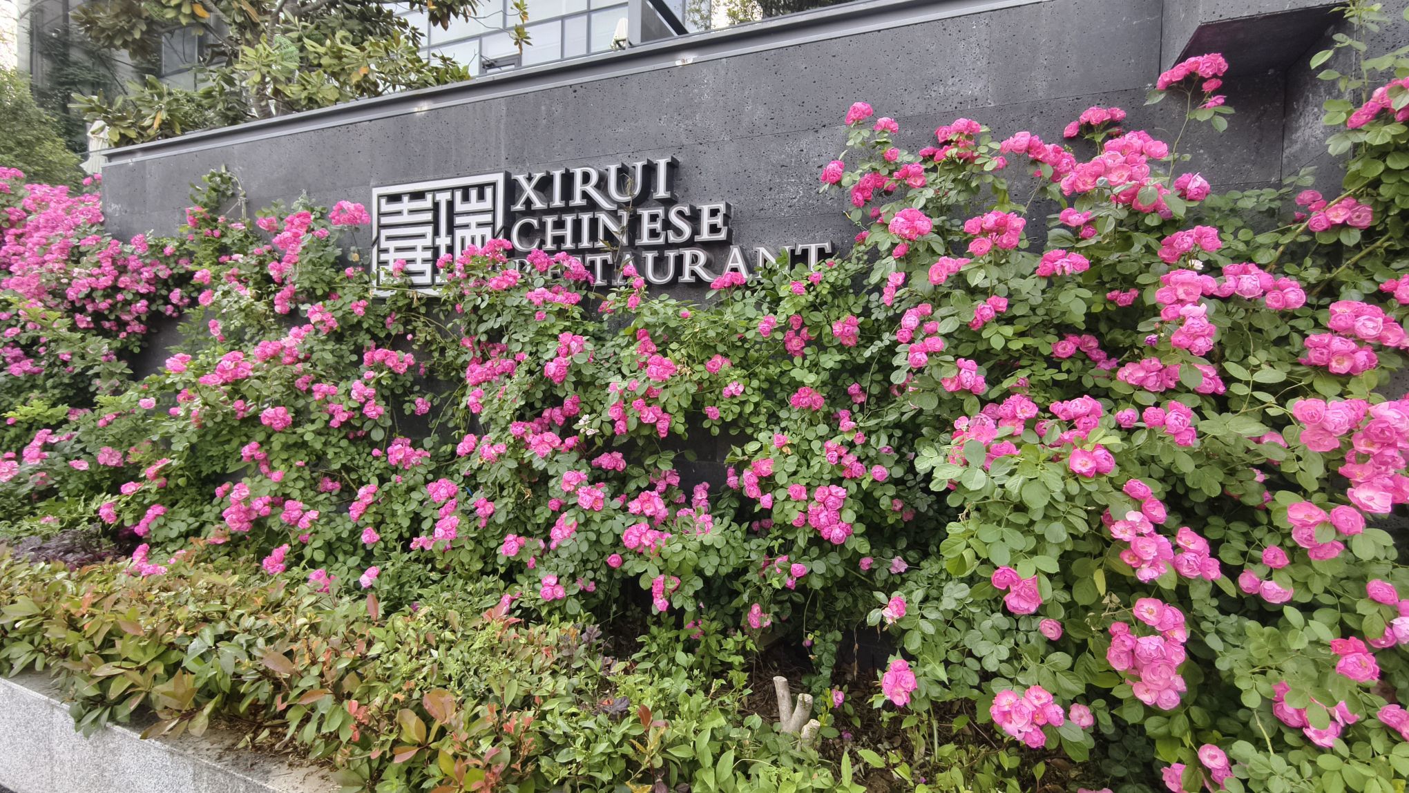 喜瑞餐厅