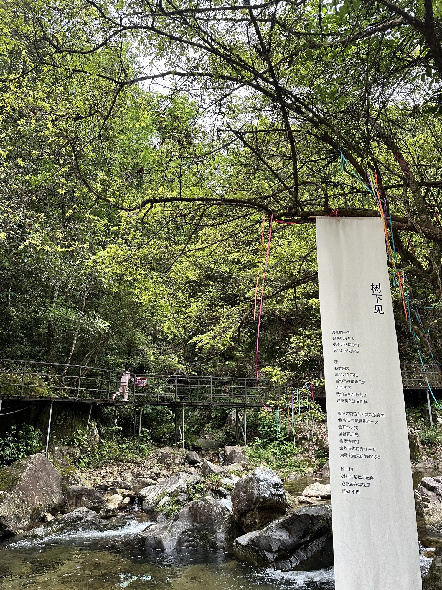醉山野景区旅行图片 3