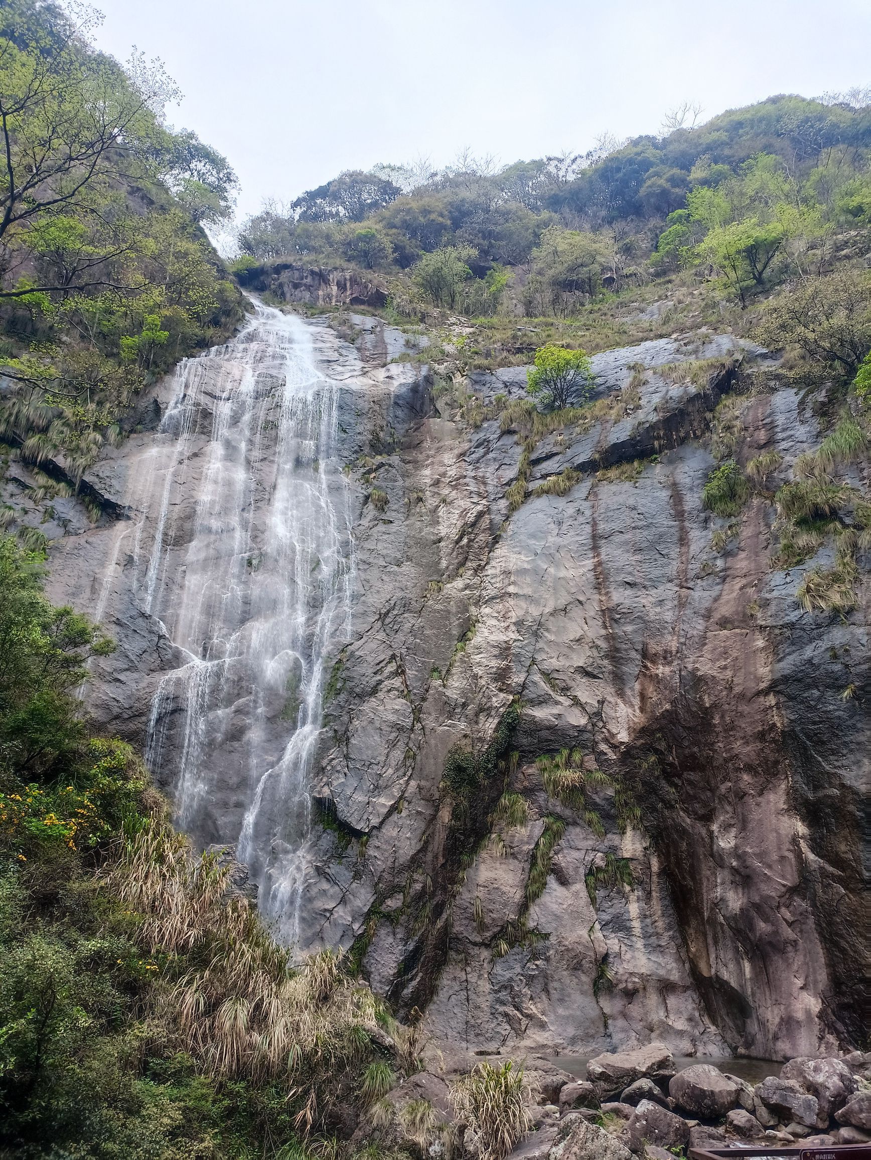 醉山野景区旅行图片 1