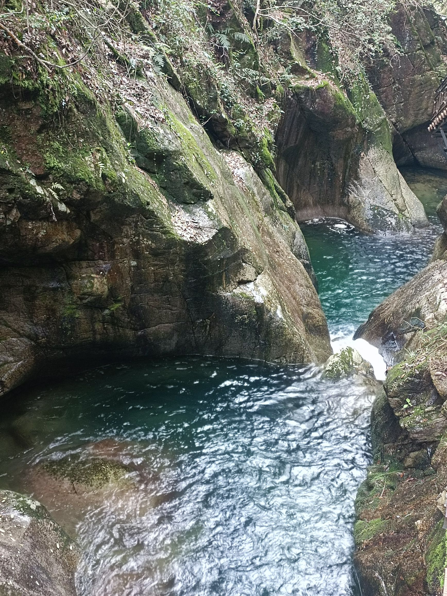 醉山野景区旅行图片 2