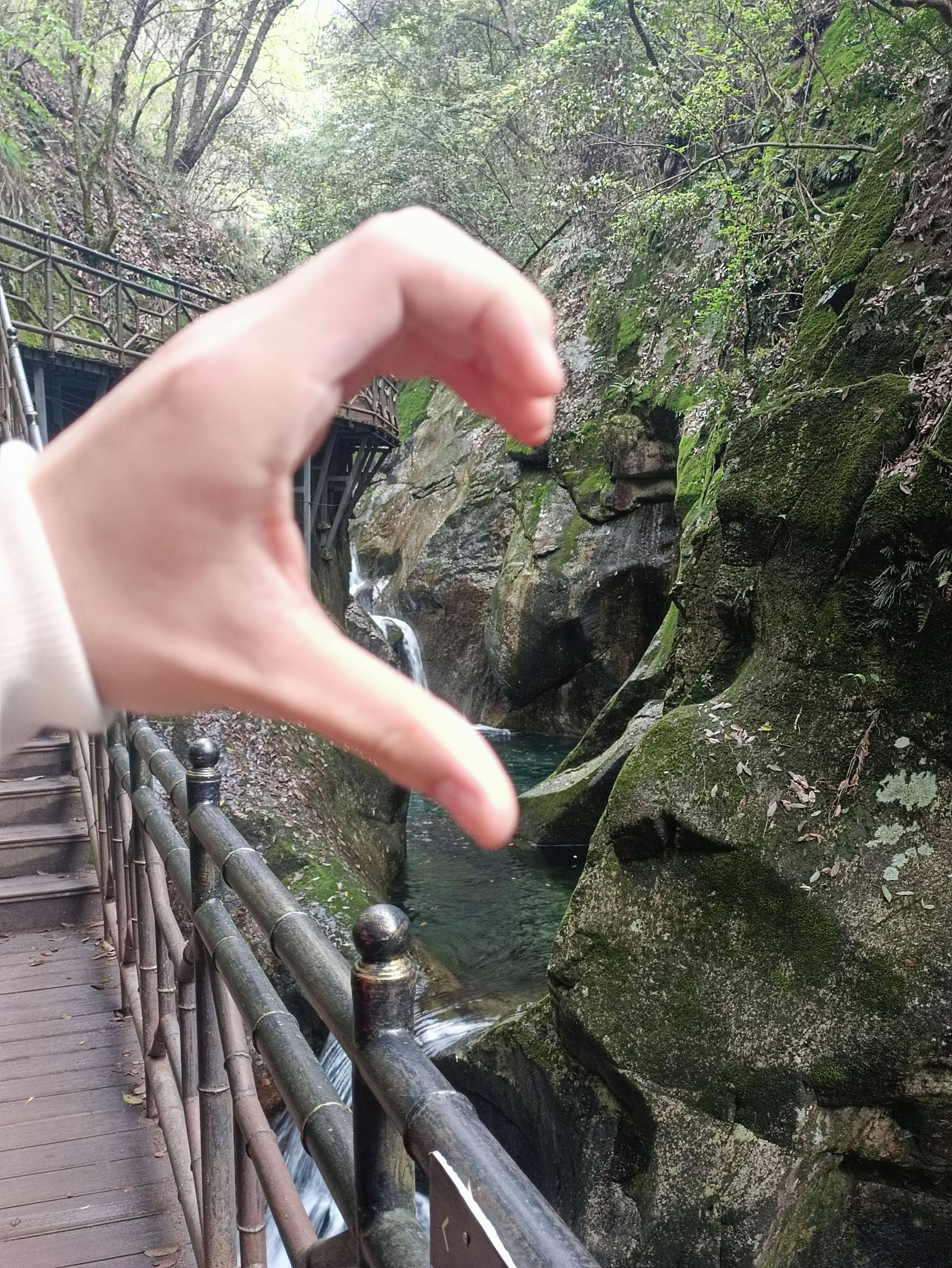 醉山野景区旅行图片 3