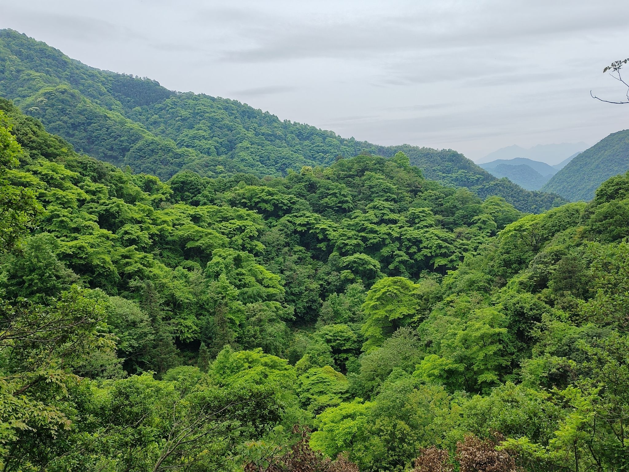 醉山野景区旅行图片 3
