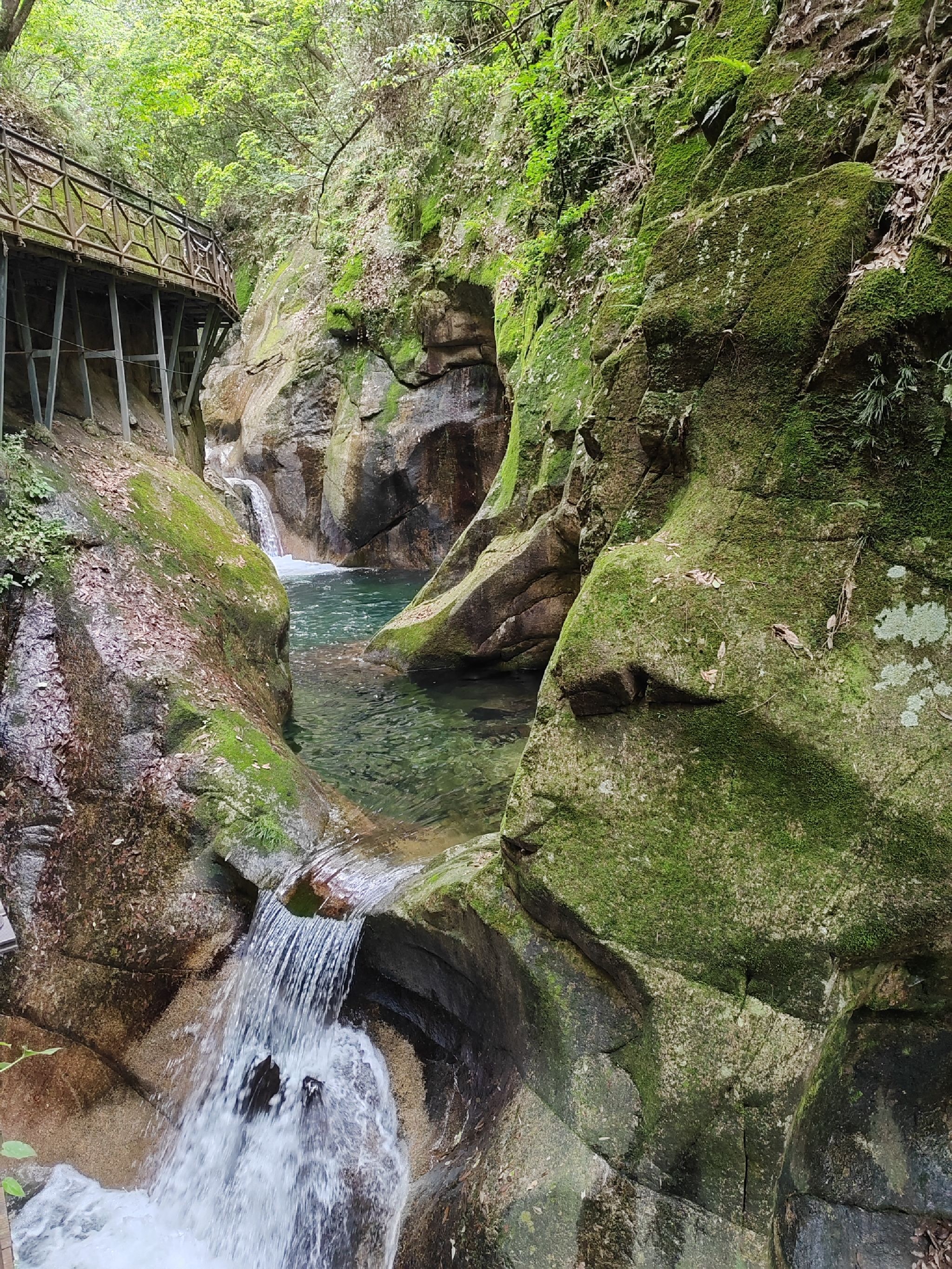 醉山野景区旅行图片 1
