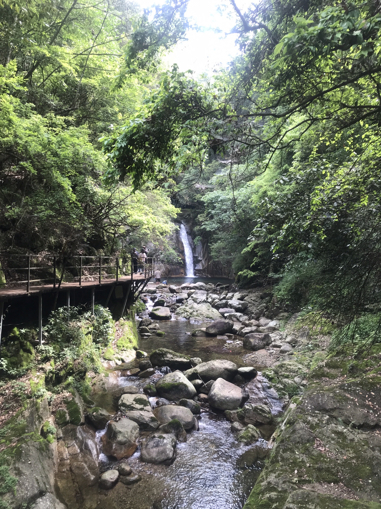 醉山野景区旅行图片 3