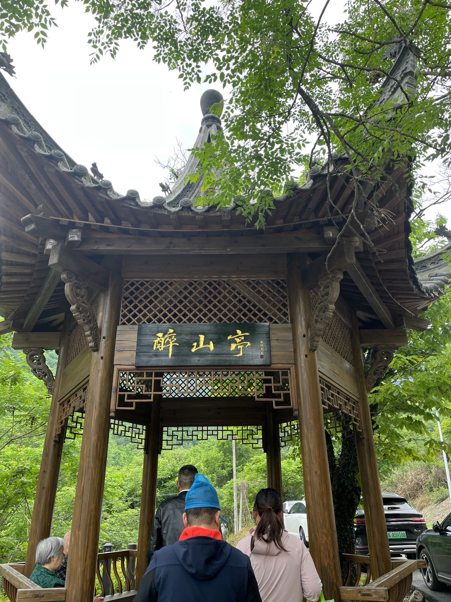 醉山野景区旅行图片 2