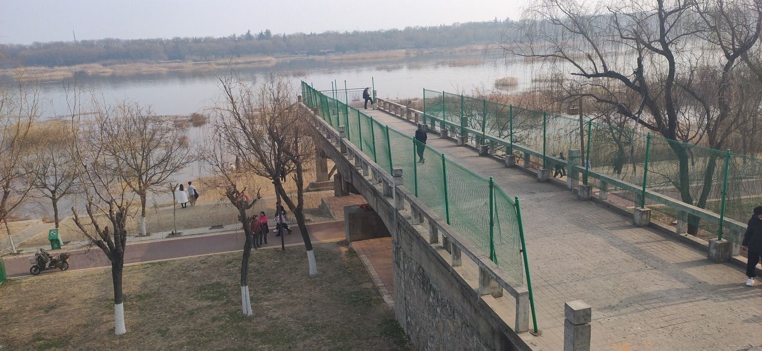老吴桥旅行图片 3