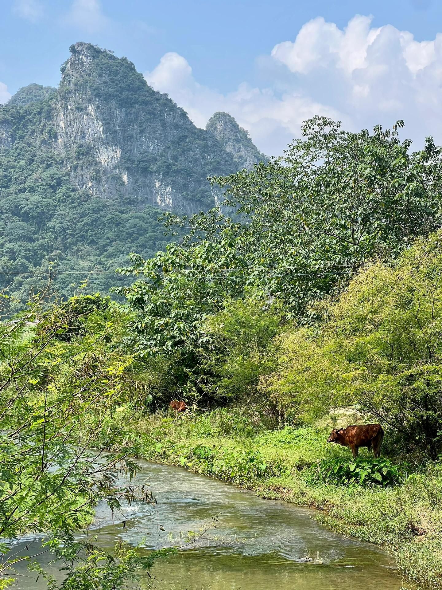 小赵州桥旅行图片 2