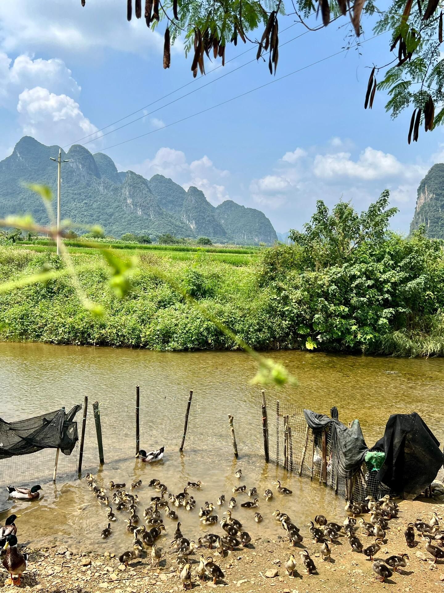 小赵州桥旅行图片 3