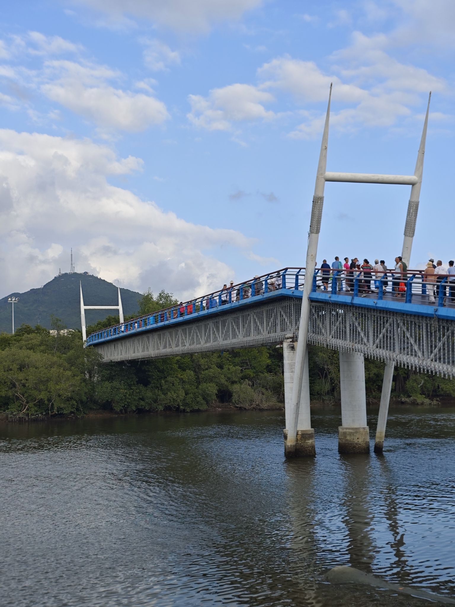临春河步行桥旅行图片 2