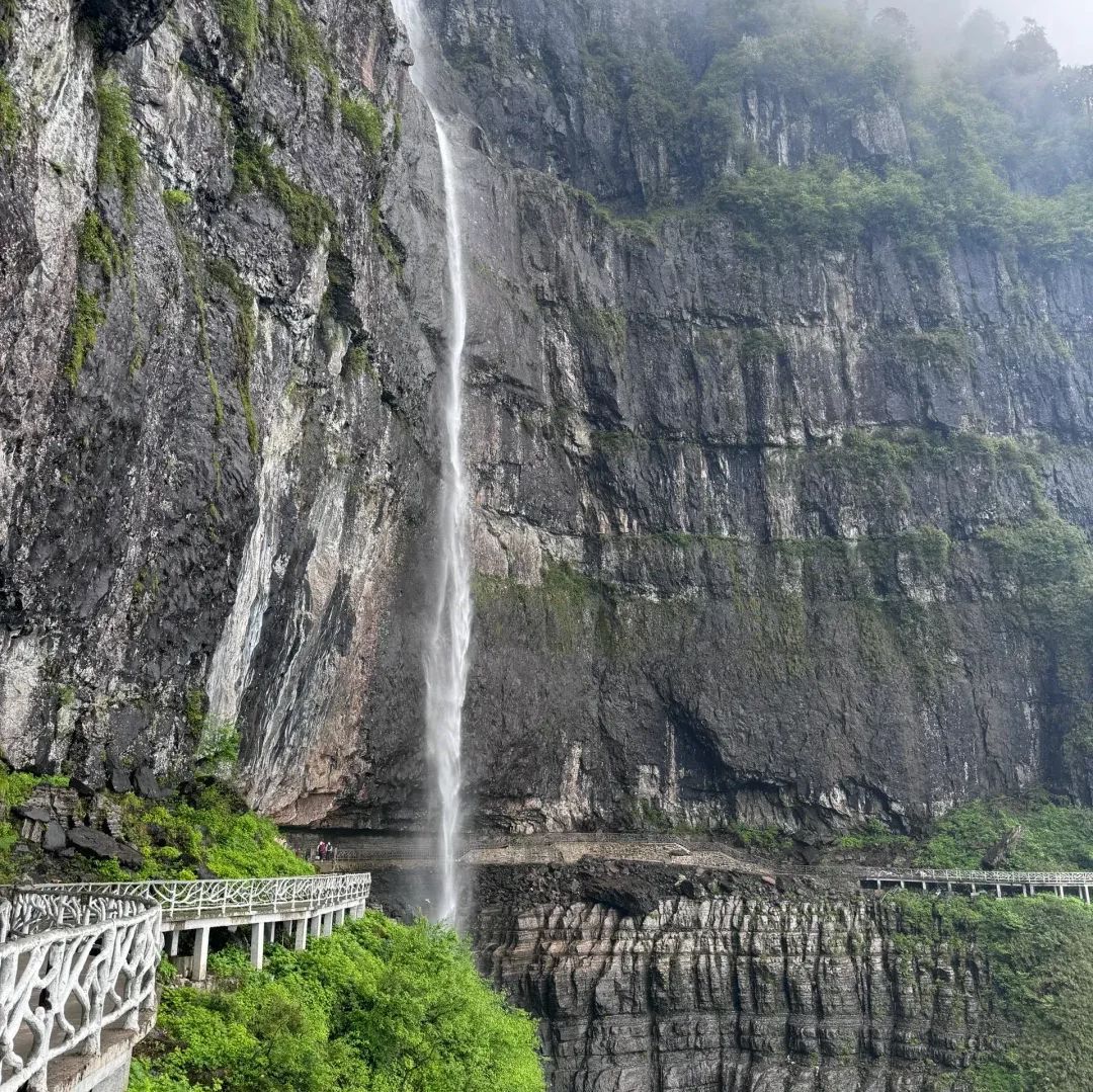 瓦屋山休闲旅游区旅行图片 3