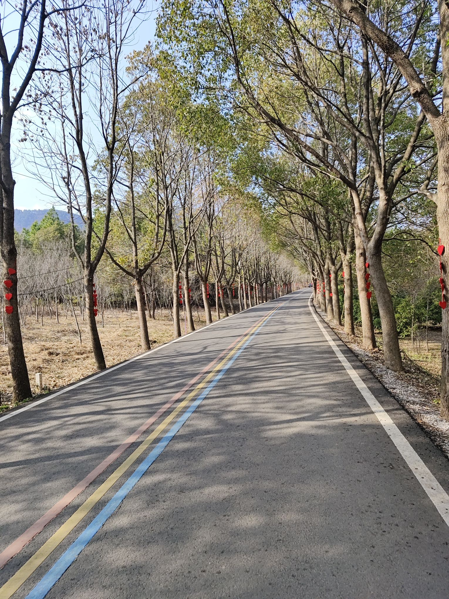 瓦屋山休闲旅游区旅行图片 3