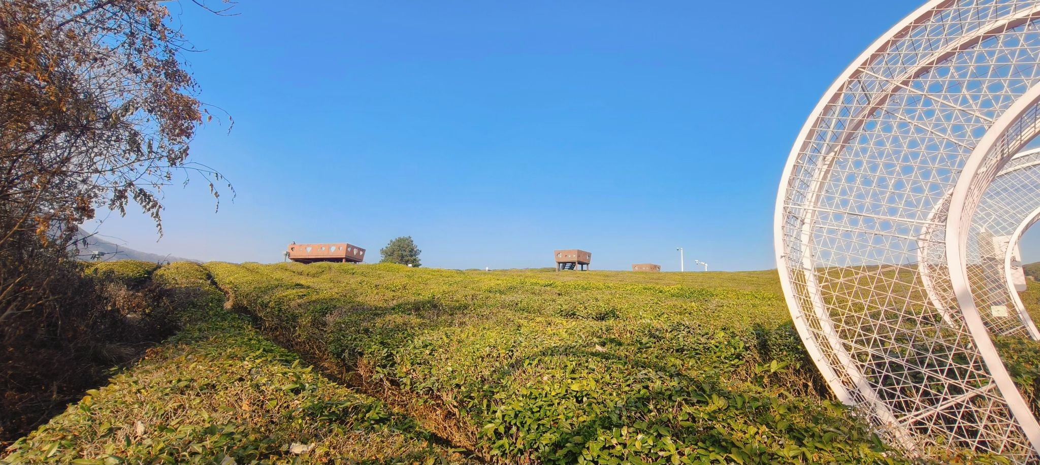 瓦屋山休闲旅游区旅行图片 2