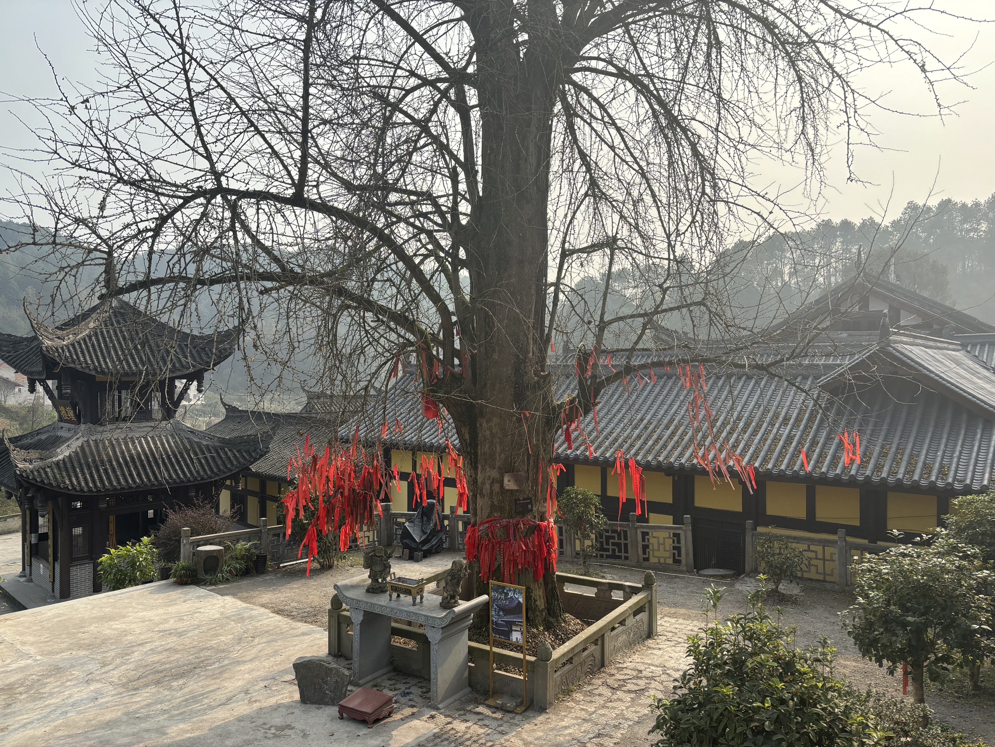 重庆中泰天心佛文化旅游区旅行图片 2