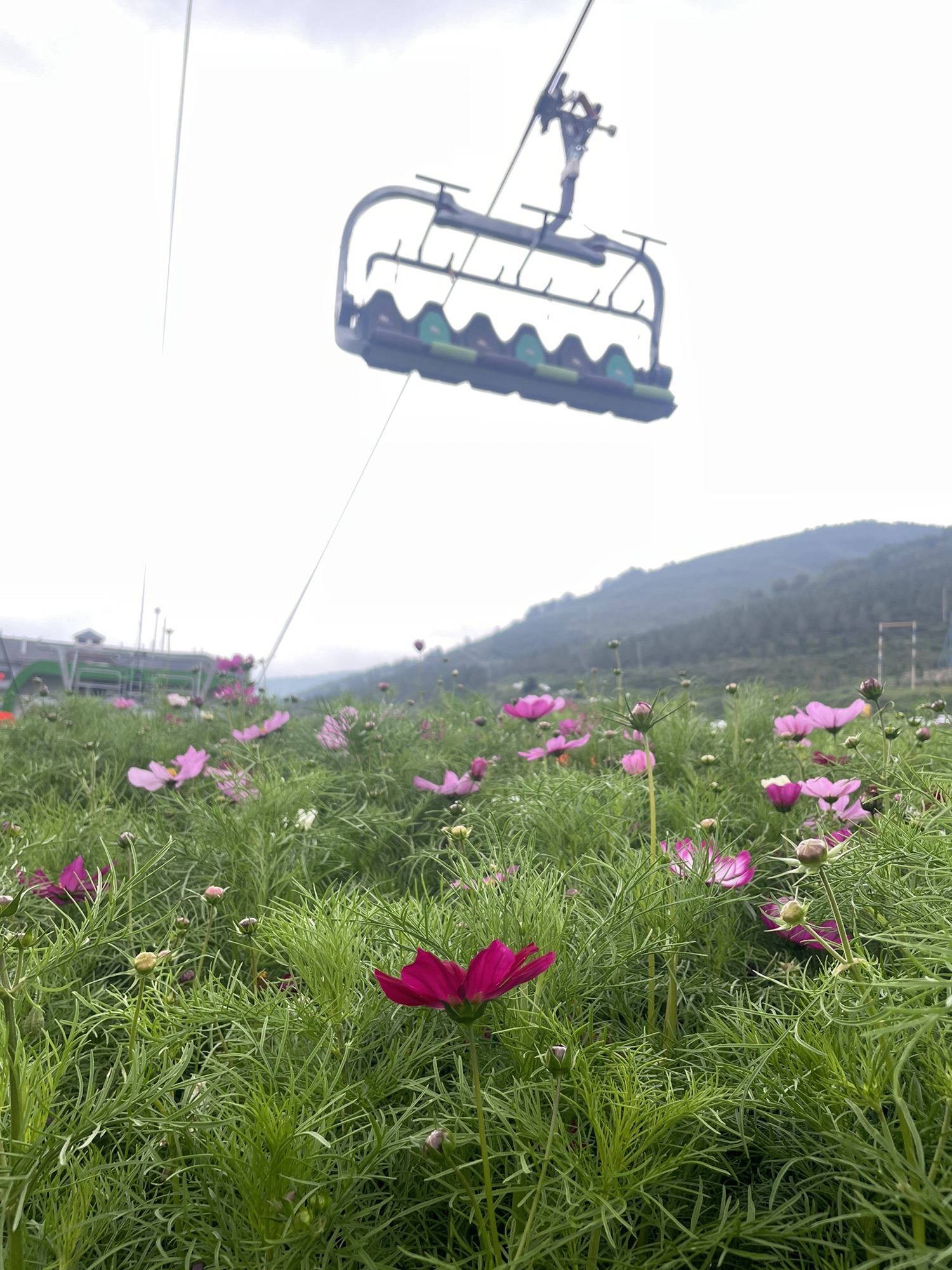 太舞度假小镇旅行图片 1