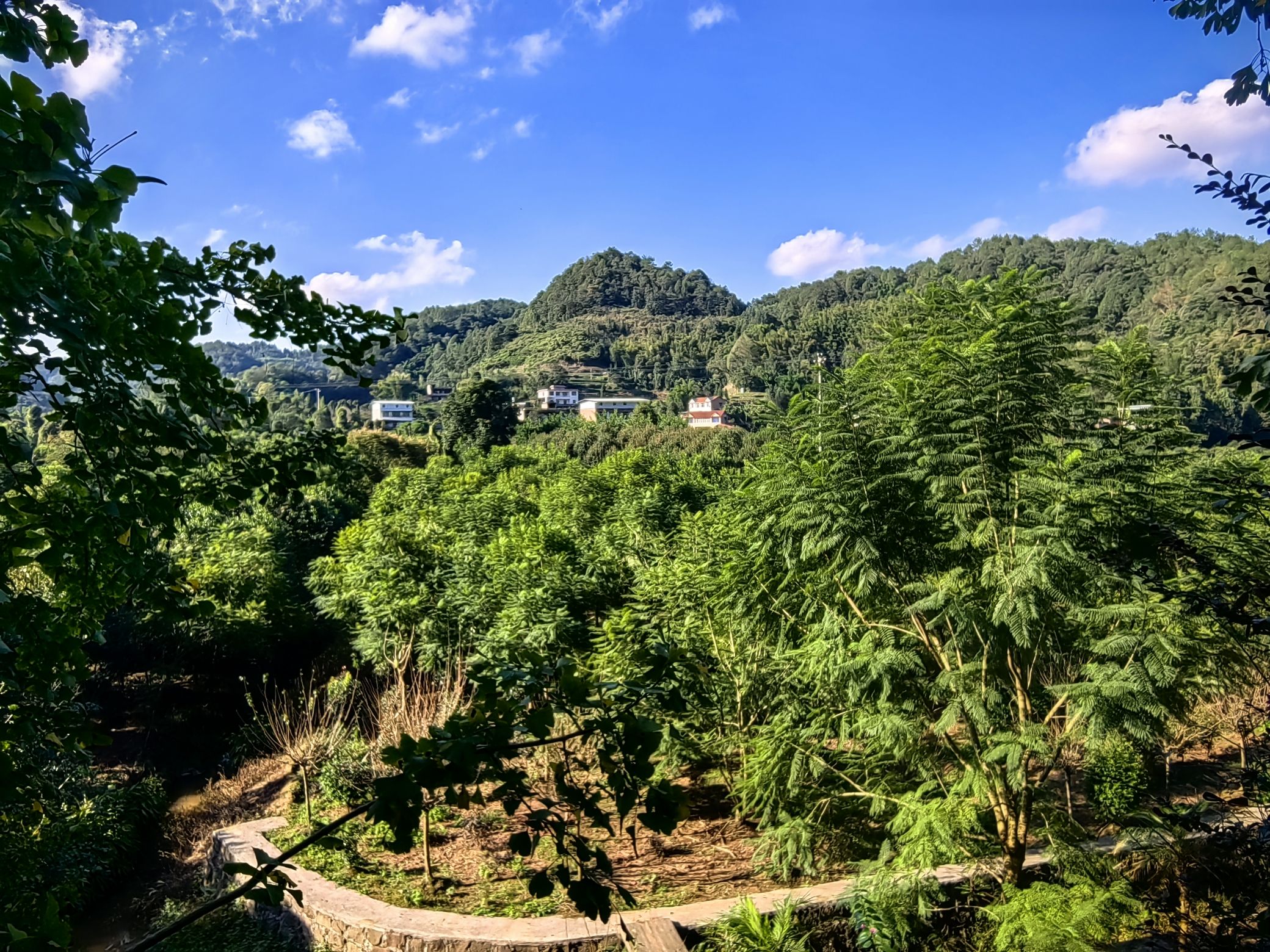 宜宾万花谷景区旅行图片 3
