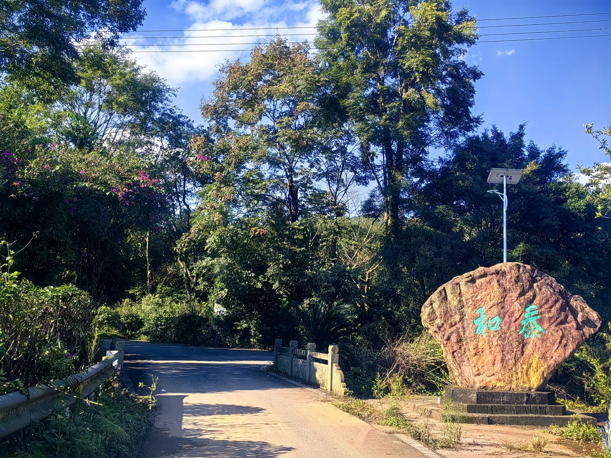 宜宾万花谷景区旅行图片 2
