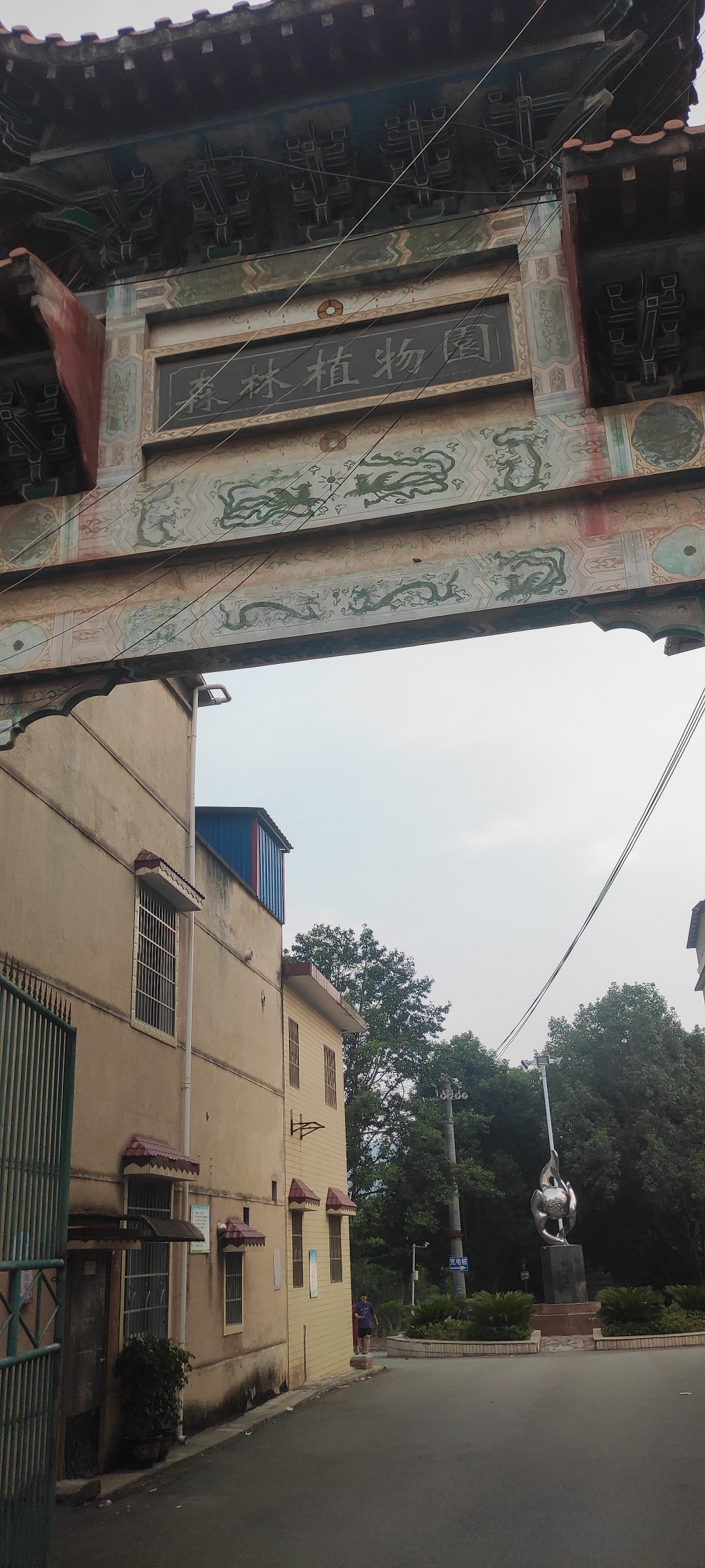 森林植物园旅行图片 1