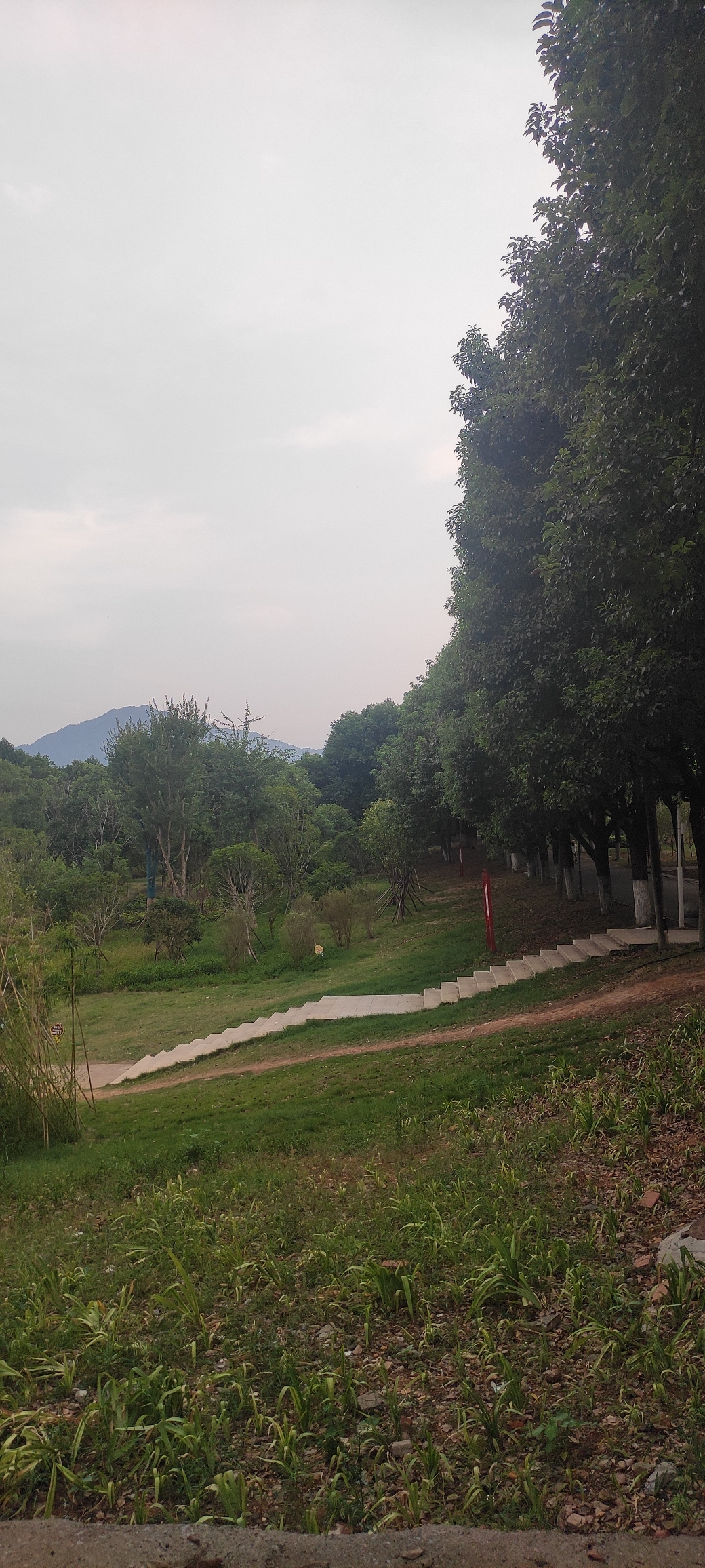 森林植物园旅行图片 2