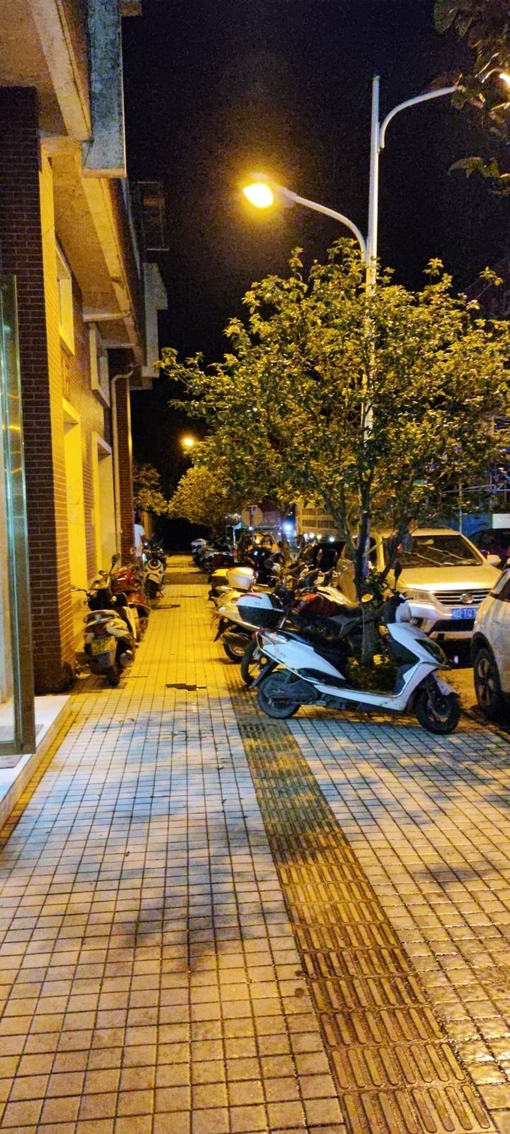 百花洲公园旅行图片 1