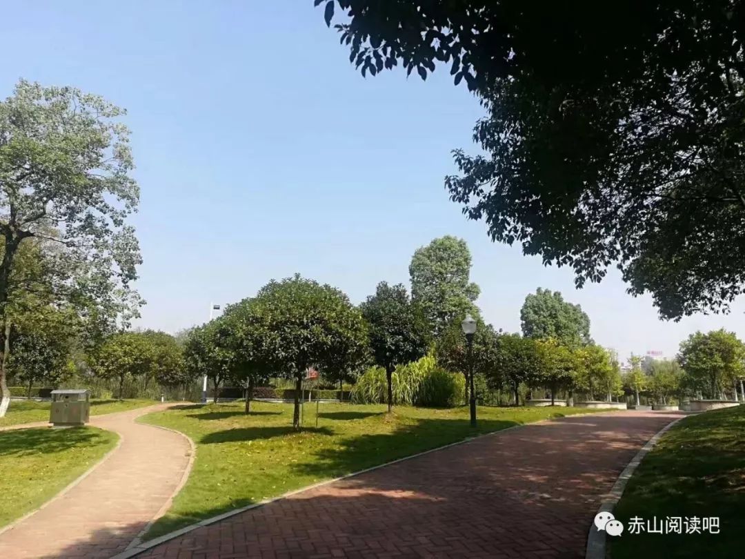 蓼叶湖公园旅行图片 2