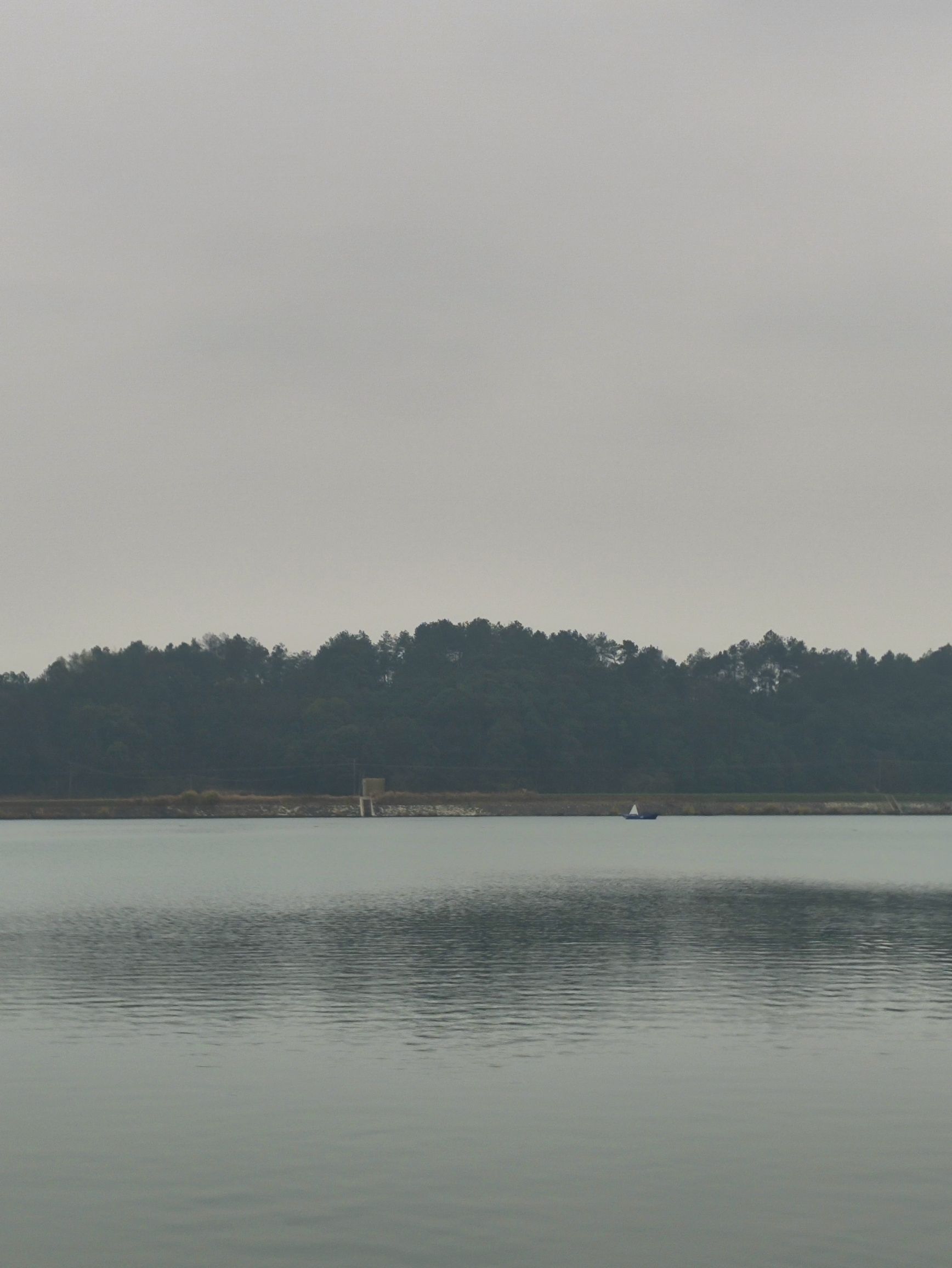 湖南莲湖湾国家湿地公园旅行图片 1