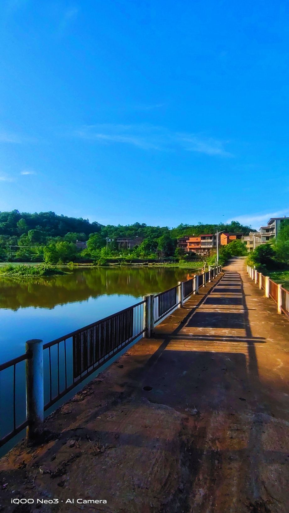 湖南莲湖湾国家湿地公园旅行图片 3