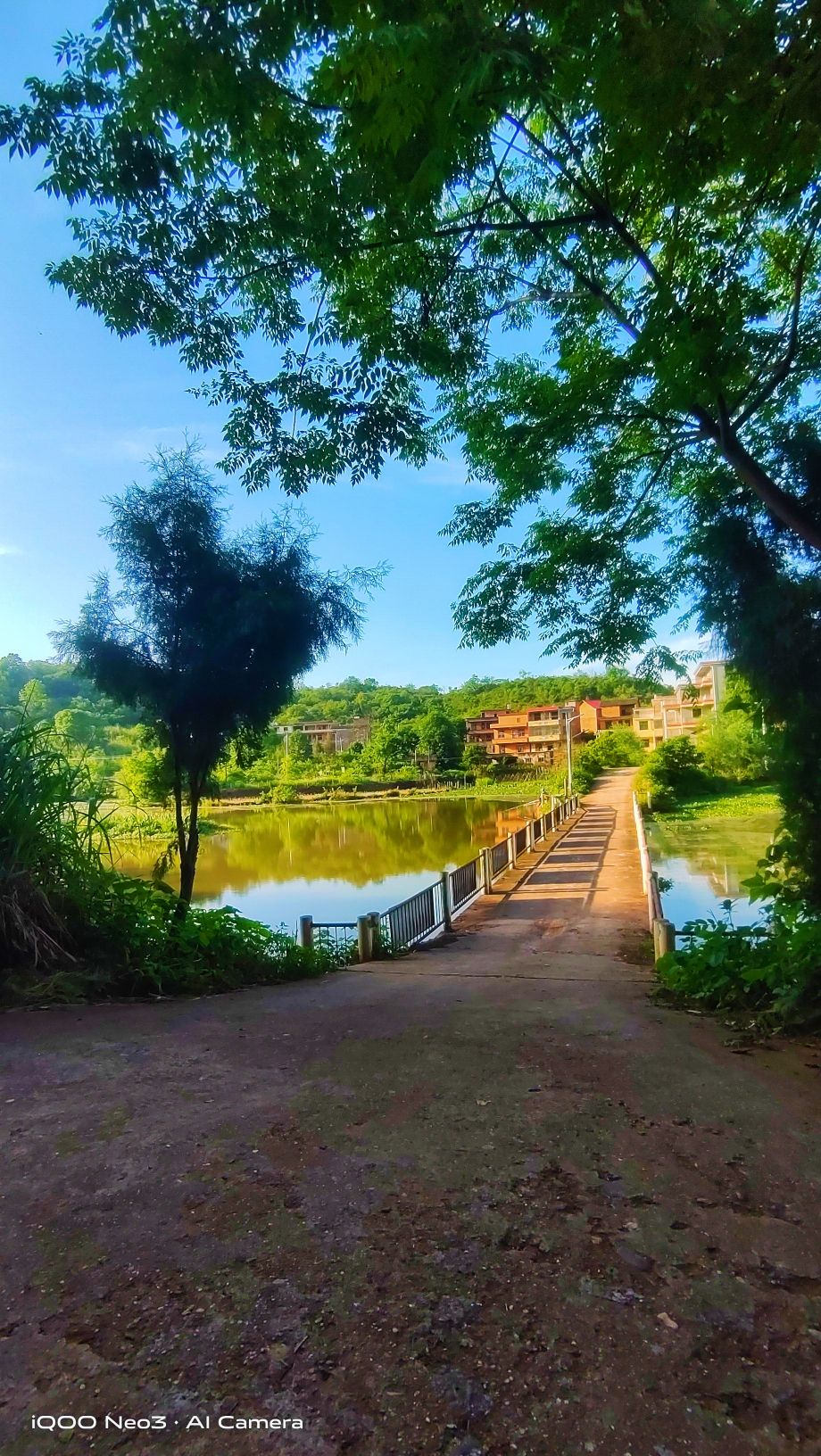 湖南莲湖湾国家湿地公园旅行图片 1