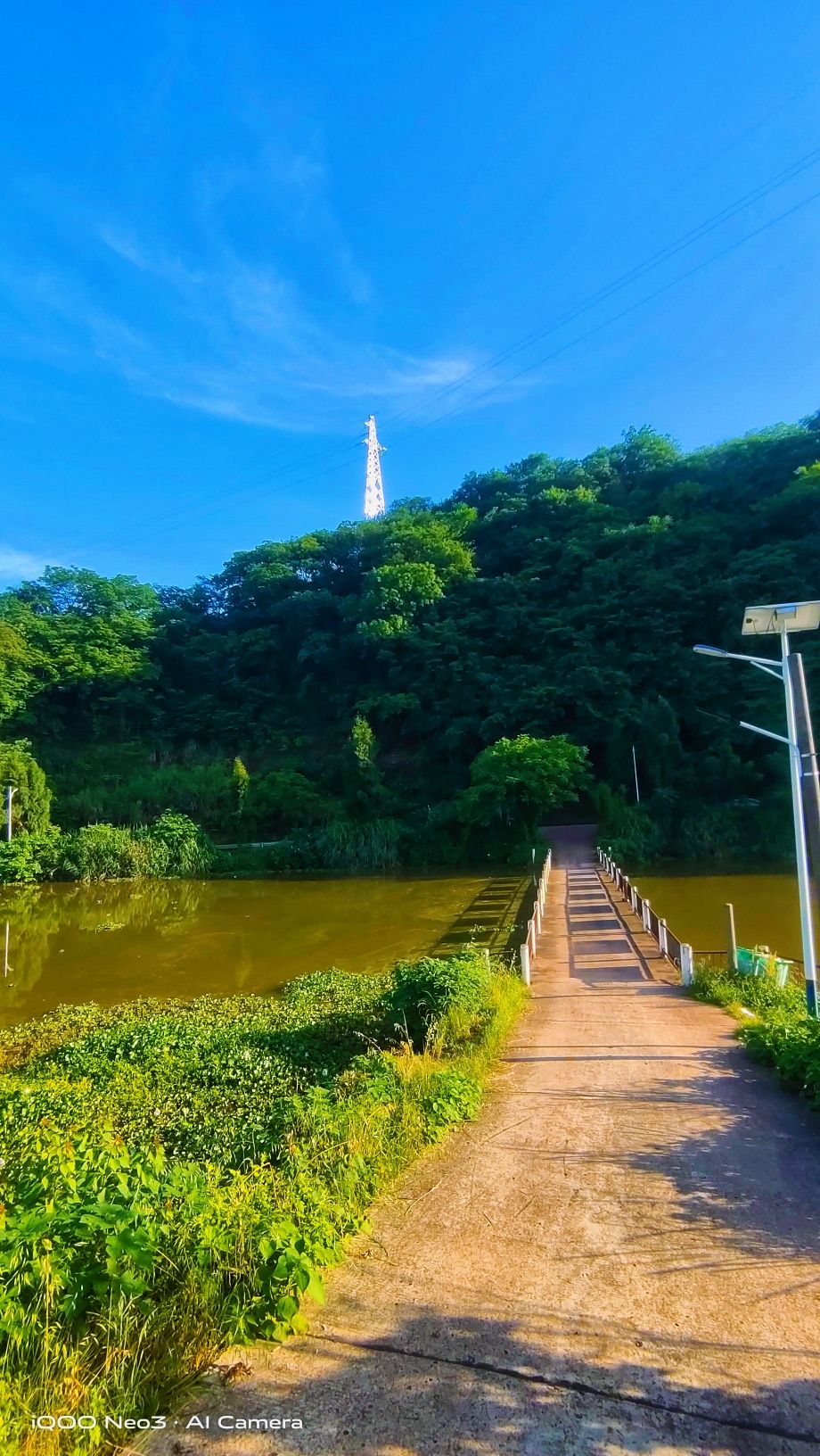 湖南莲湖湾国家湿地公园旅行图片 2