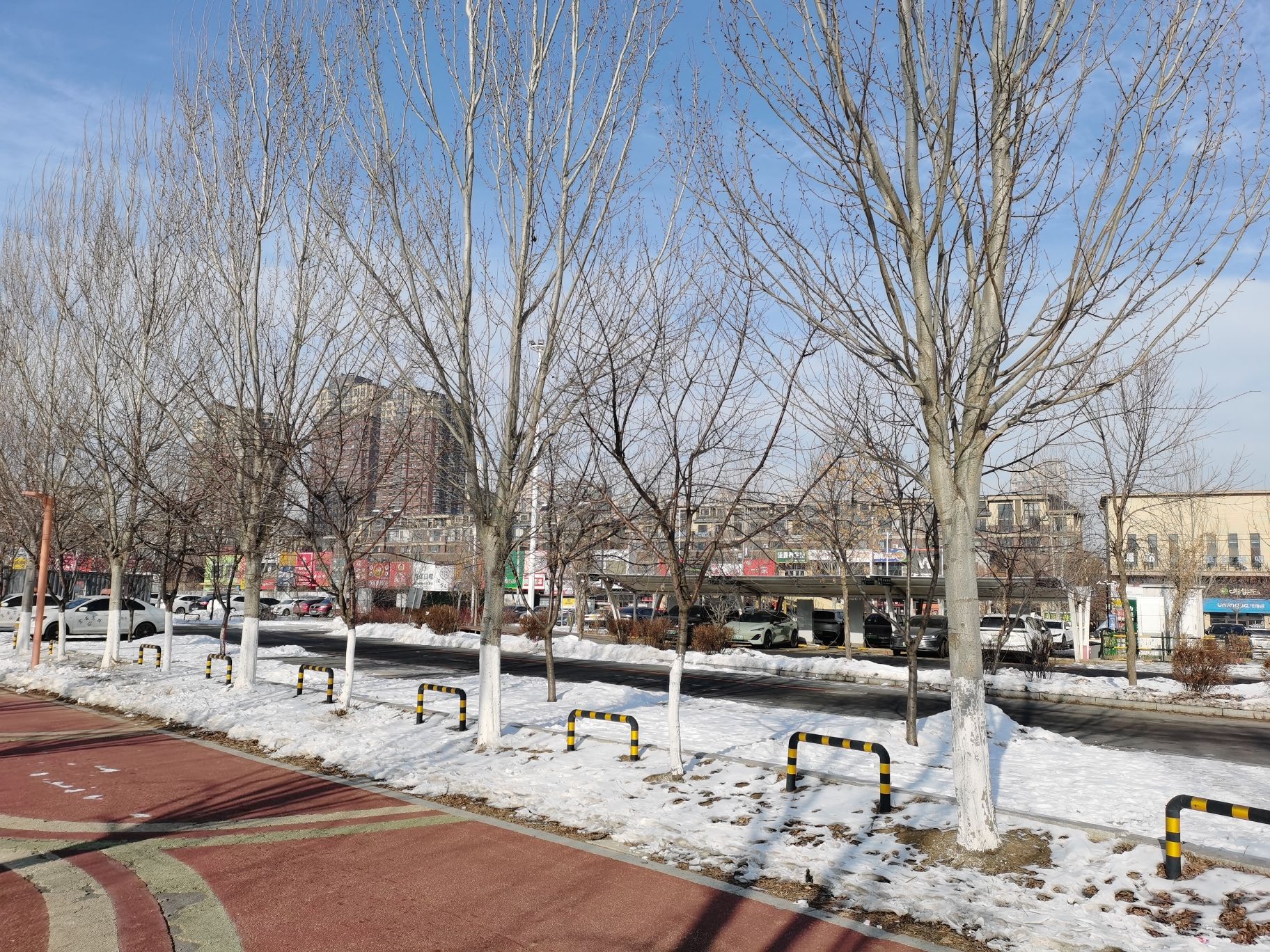 人杰湖公园旅行图片 2