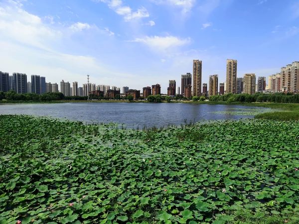 人杰湖公园旅行图片 2