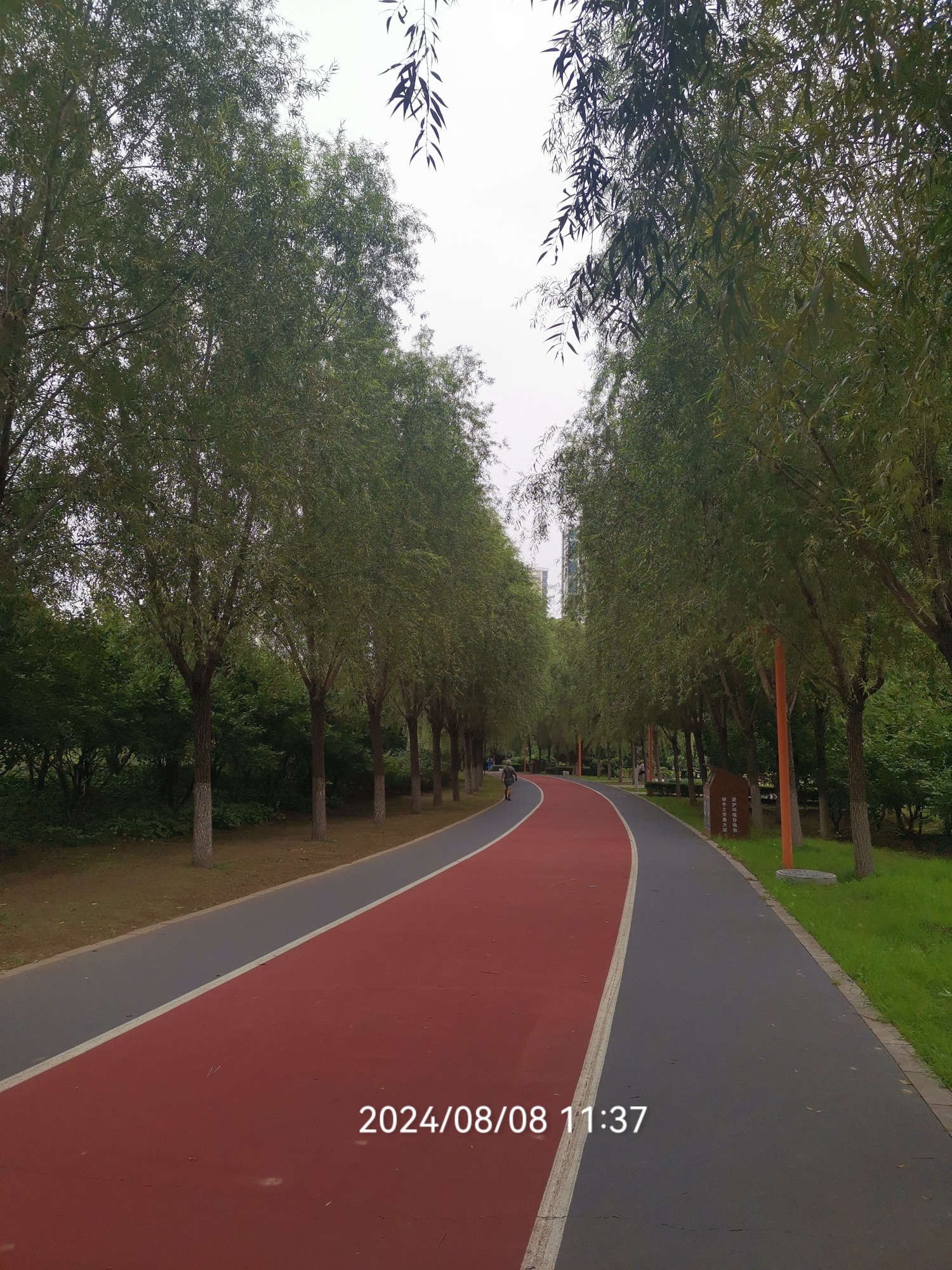 人杰湖公园旅行图片 3