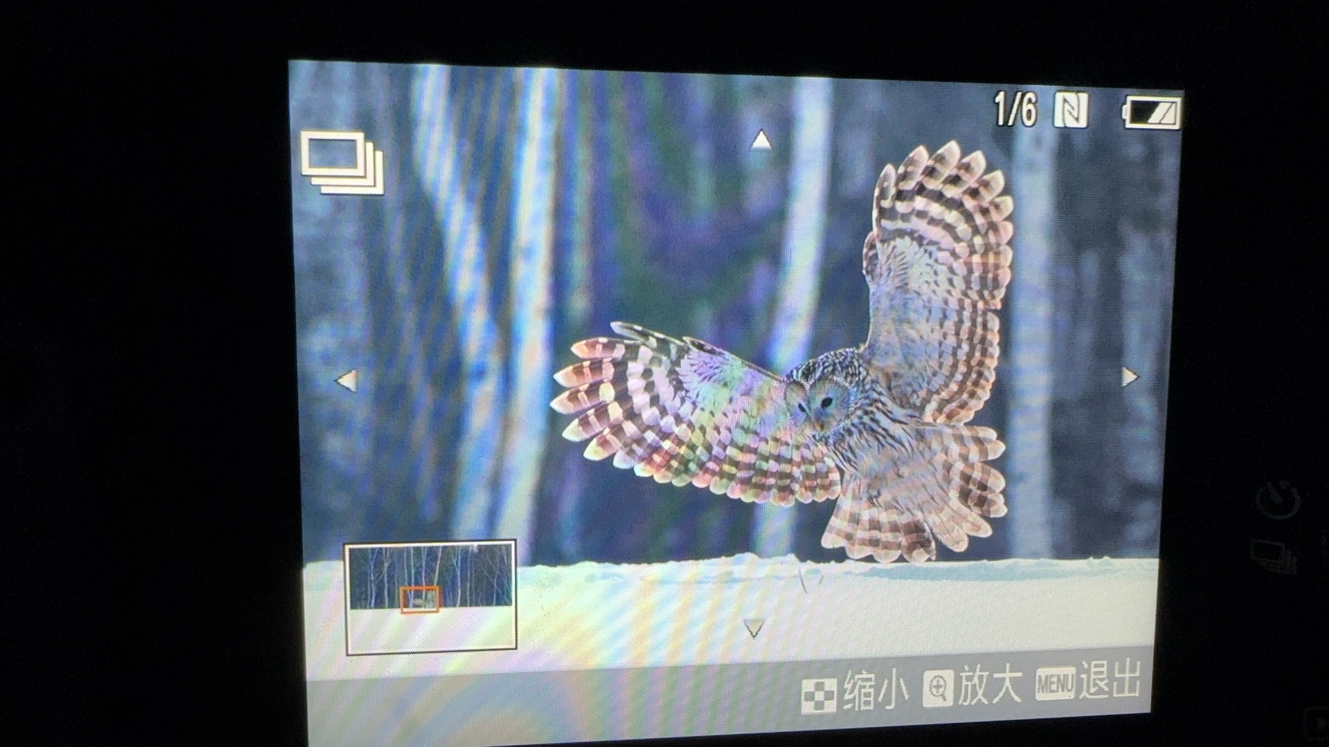 逊克县古纳温雾凇景区旅行图片 1